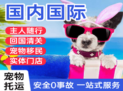 通化机场托运国际宠物托运 【国